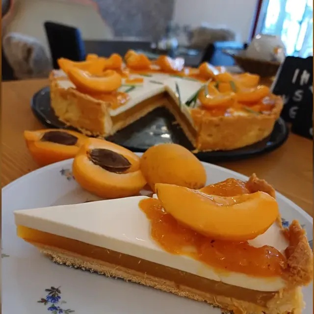 Aprikosen-Tarte mit Panna-cotta-Schicht und frischen Aprikosen im Café am Markt in Jena